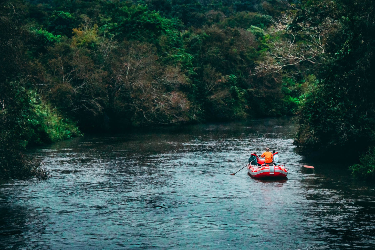 Boat Tours on Guaiba River